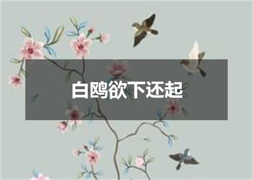 白鸥欲下还起