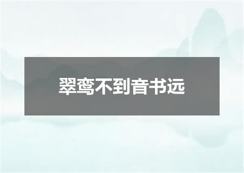 翠鸾不到音书远