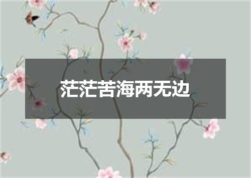 茫茫苦海两无边