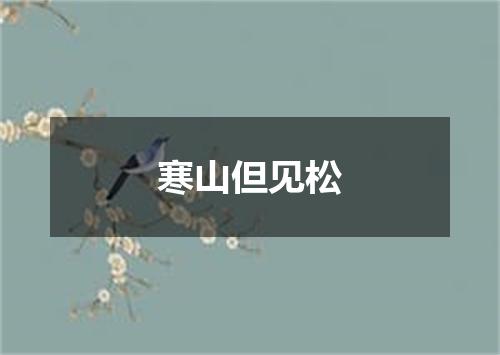 寒山但见松