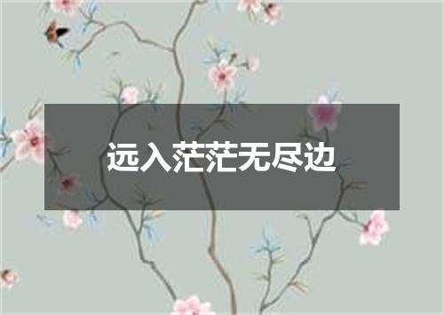 远入茫茫无尽边