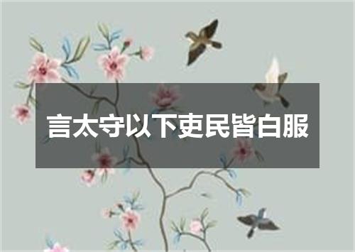 言太守以下吏民皆白服