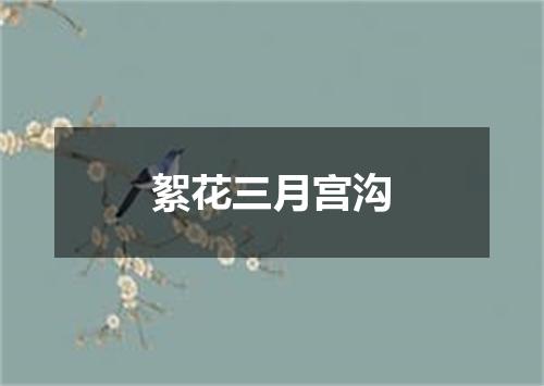 絮花三月宫沟