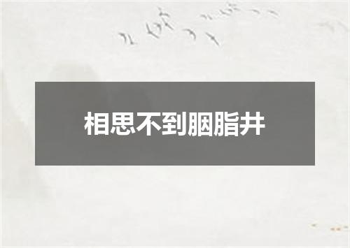 相思不到胭脂井