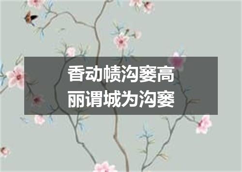 香动帻沟窭高丽谓城为沟窭