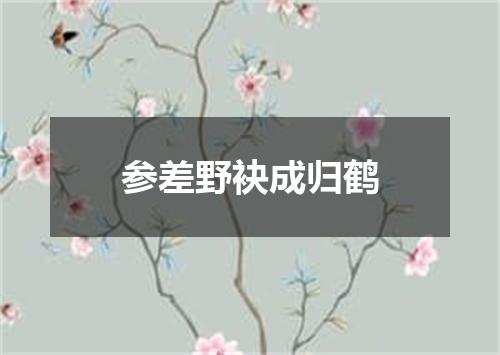 参差野袂成归鹤