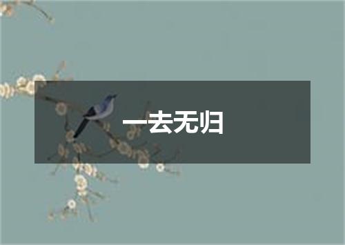 一去无归