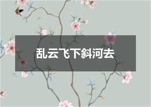 乱云飞下斜河去