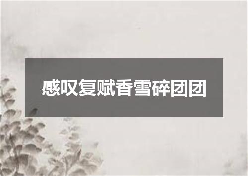 感叹复赋香雪碎团团