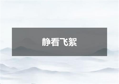 静看飞絮