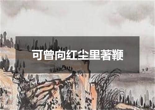 可曾向红尘里著鞭