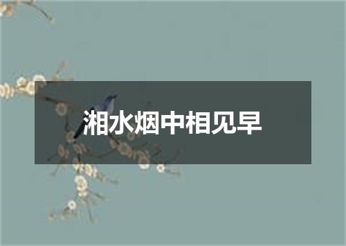 湘水烟中相见早