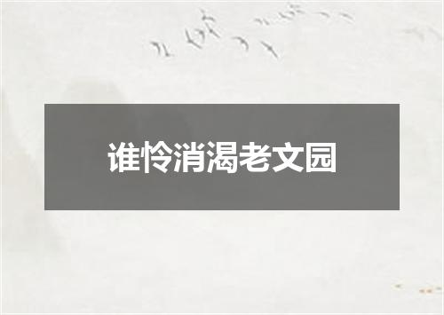 谁怜消渴老文园