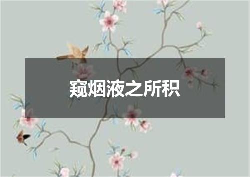 窥烟液之所积