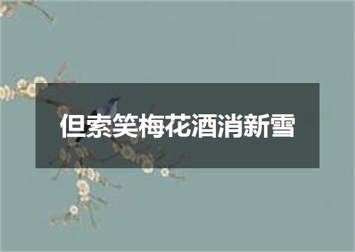 但索笑梅花酒消新雪