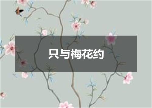 只与梅花约