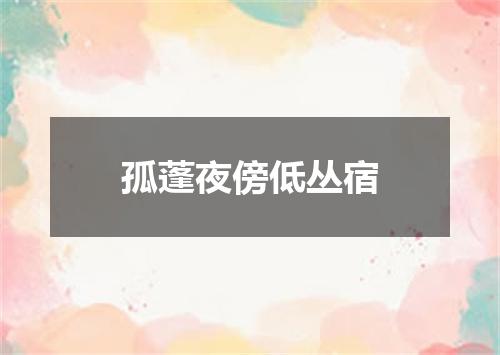 孤蓬夜傍低丛宿