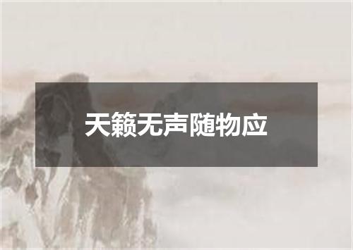 天籁无声随物应