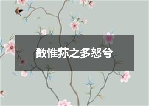 数惟荪之多怒兮