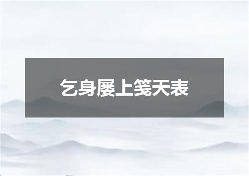 乞身屡上笺天表