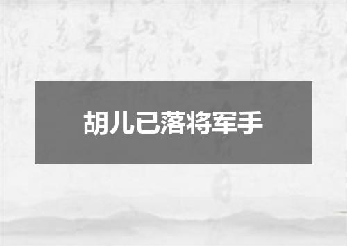 胡儿已落将军手