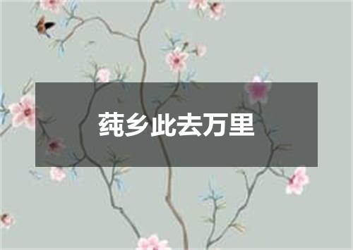 莼乡此去万里