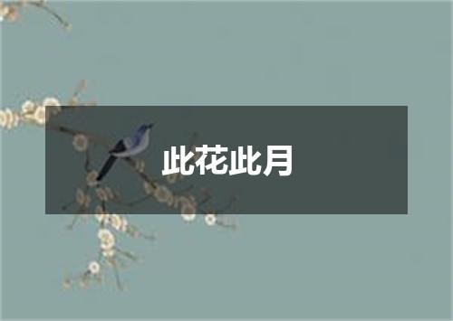 此花此月