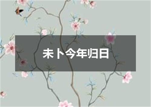 未卜今年归日