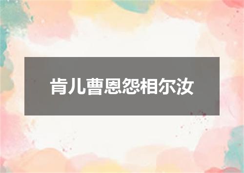 肯儿曹恩怨相尔汝