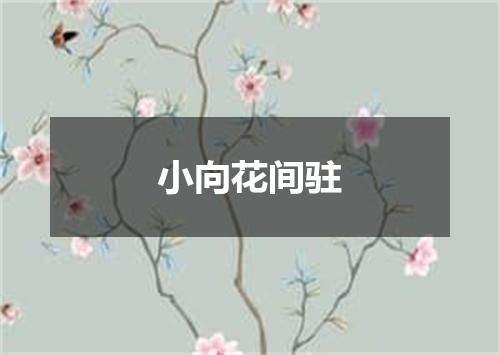 小向花间驻