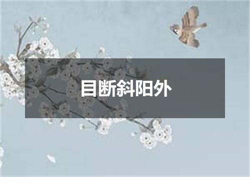 目断斜阳外