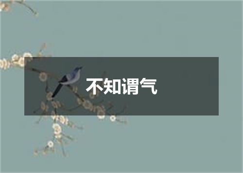 不知谓气