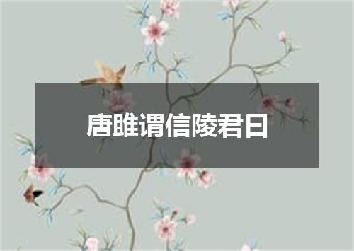 唐雎谓信陵君曰