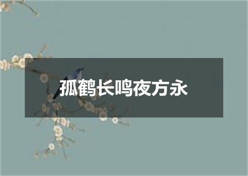 孤鹤长鸣夜方永