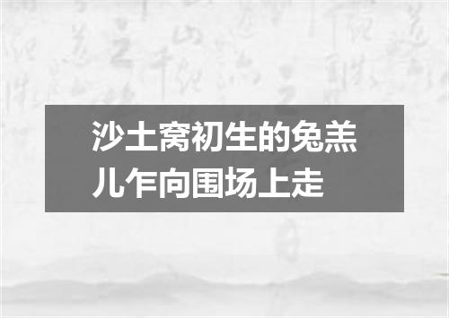 沙土窝初生的兔羔儿乍向围场上走