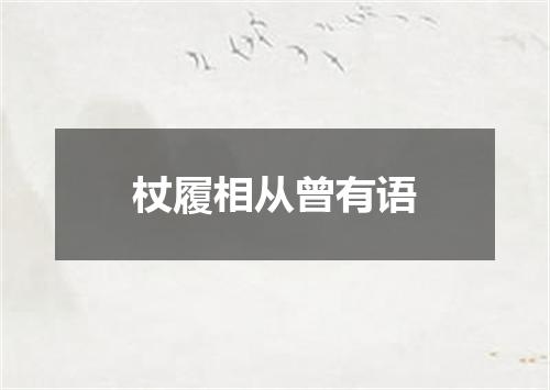 杖履相从曾有语