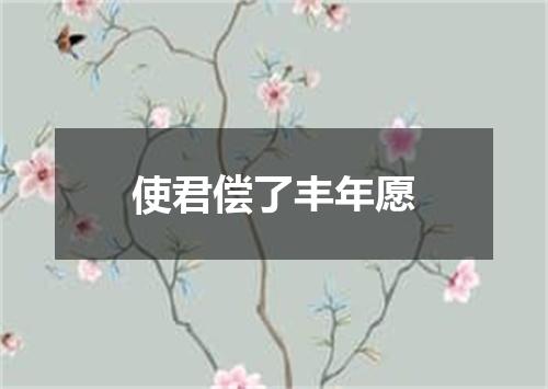 使君偿了丰年愿