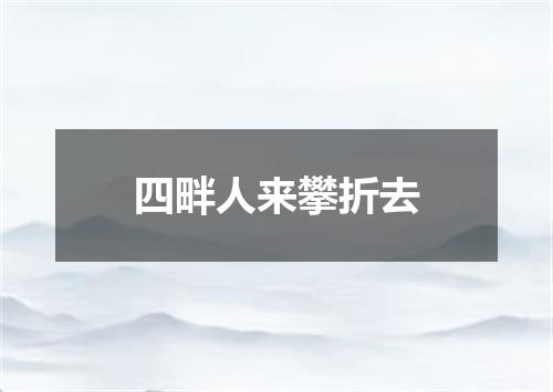 四畔人来攀折去