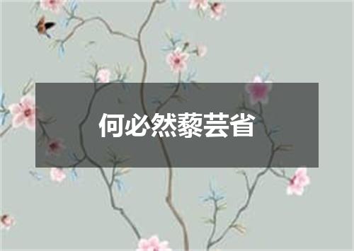 何必然藜芸省