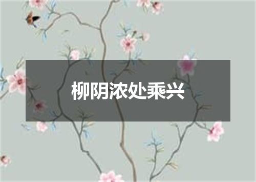 柳阴浓处乘兴