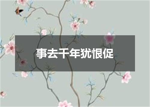 事去千年犹恨促