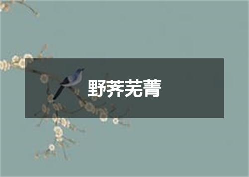 野荠芜菁