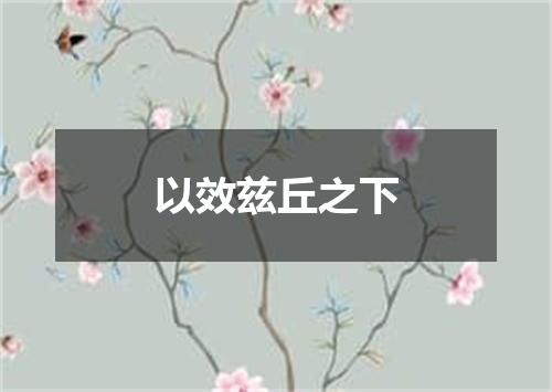 以效兹丘之下