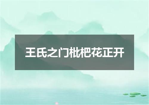 王氏之门枇杷花正开