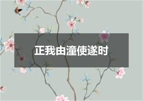 正我由潼使遂时