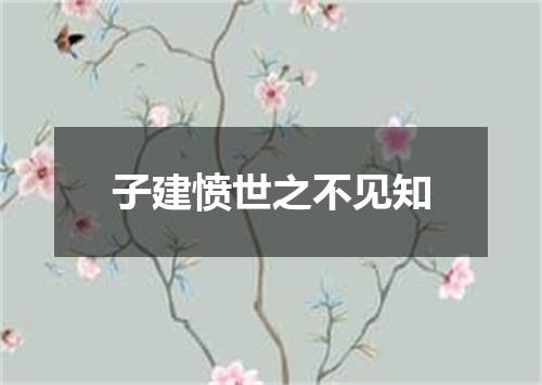 子建愤世之不见知