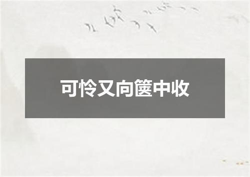 可怜又向箧中收