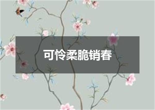 可怜柔脆销春