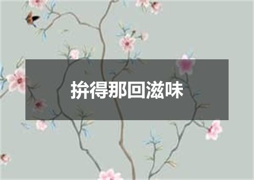 拚得那回滋味