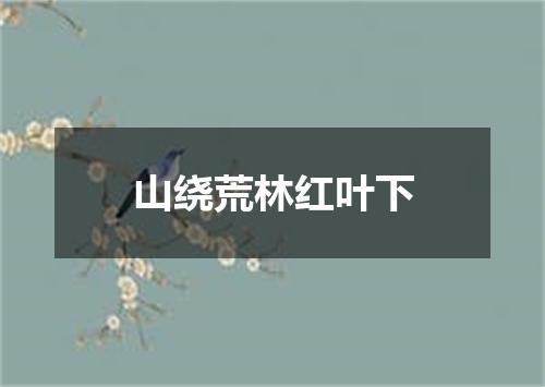 山绕荒林红叶下